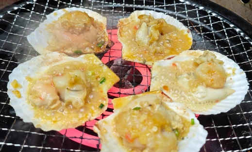 怀孕可不可以吃扇贝