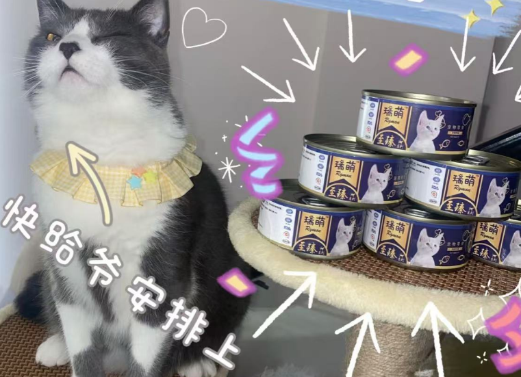 猫主食罐头品牌推荐——瑞萌Rymon猫罐头 猫主食罐头品牌推荐——瑞萌Rymon猫罐头