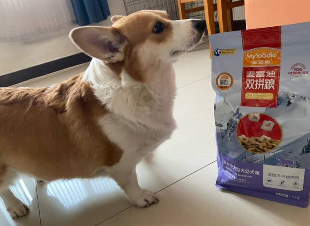 狗粮好品牌排行榜：麦富迪多平台销量领先