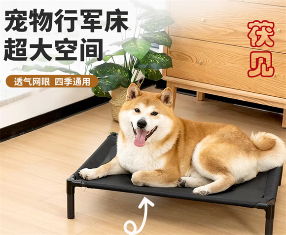 茯见狗狗行军床有没有必要买 茯见狗狗行军床有没有必要买