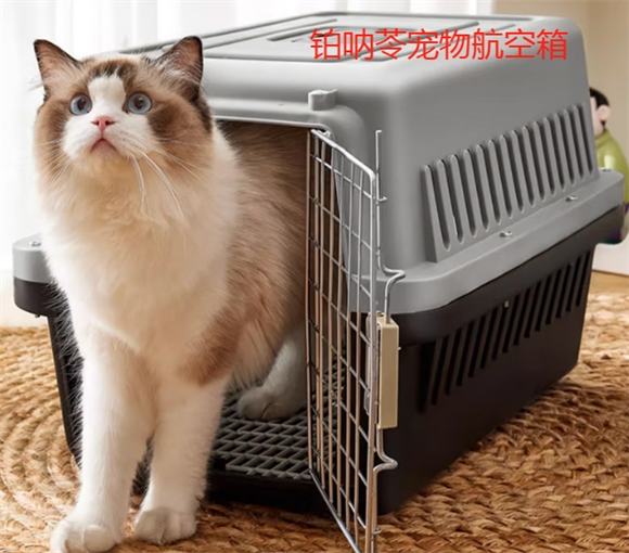 铂呐苓宠物航空箱:与毛孩子同行的温暖空间 铂呐苓宠物航空箱:与毛孩子同行的温暖空间