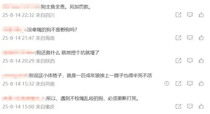 v法斗犬景区咬马导致马受惊，法斗被踢废，游客追马