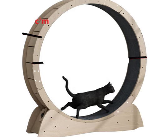 咖咪龙猫咪跑步机多少钱一个
