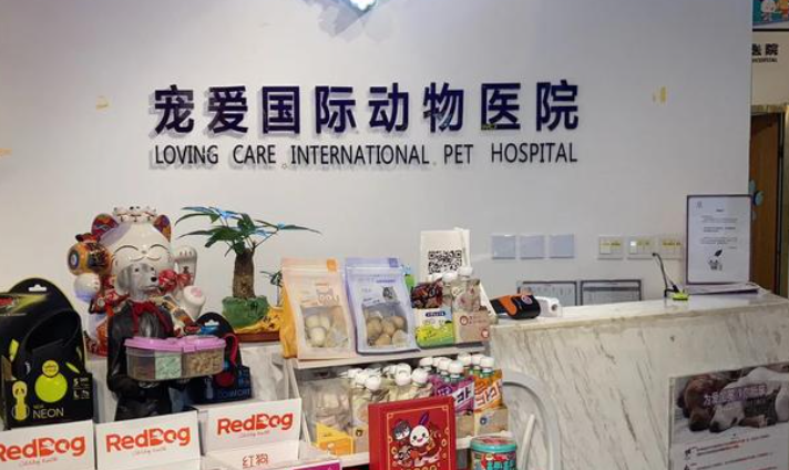 宠爱国际:用科技创新重新定义宠物医疗 宠爱国际:用科技创新重新定义宠物医疗