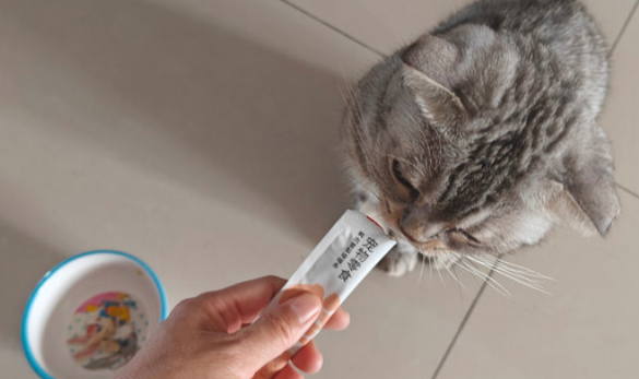 猫零食能天天喂吗?京东京造提醒您:喂食需节制! 猫零食能天天喂吗?京东京造提醒您:喂食需节制!