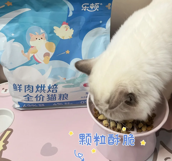 猫粮哪个性价比高？乐顿猫粮以低喂养成本支撑高营养需求