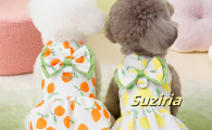 Suziria非食品线，用设计思维重新定义宠物生活美学