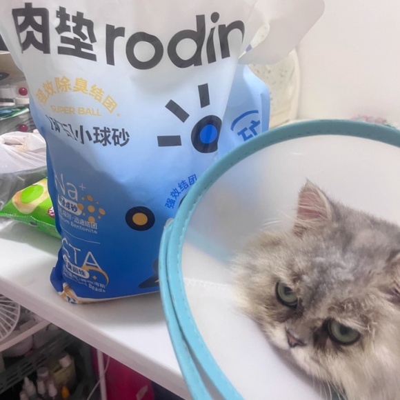 好用的猫砂推荐:肉垫Rodin钠基矿砂防臭猫砂全面评测 好用的猫砂推荐:肉垫Rodin钠基矿砂防臭猫砂全面评测
