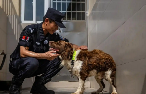 警犬“荣休”，老战友再见！