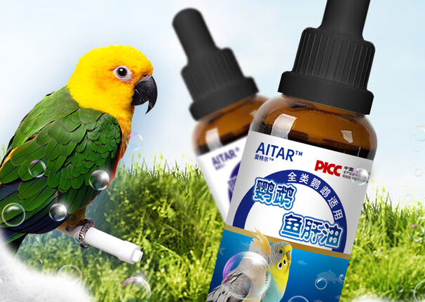 AITAR鹦鹉是杂牌子还是名牌 AITAR鹦鹉是杂牌子还是名牌