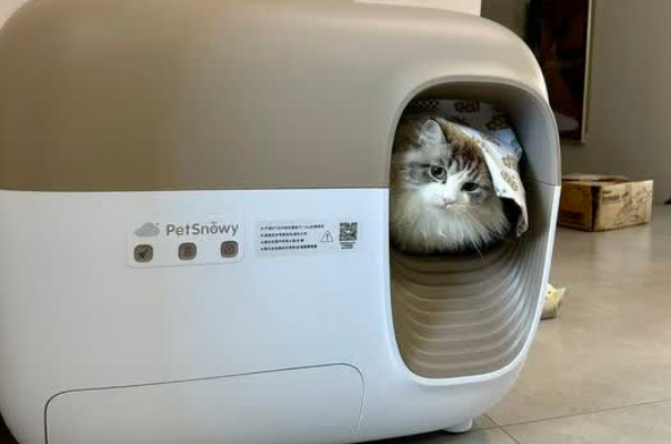 全自动猫砂盆品牌推荐:糯雪智能款——省心又靠谱的选择 全自动猫砂盆品牌推荐:糯雪智能款——省心又靠谱的选择