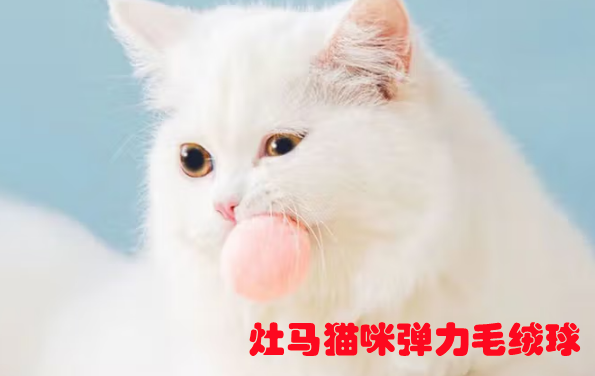 灶马猫咪弹力毛绒球：释放活力的天然玩伴