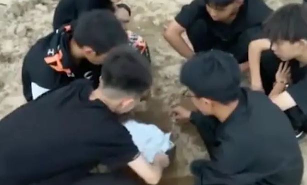 小狗遭遇车祸死去,一群孩子将它转移路边挖坑埋了 小狗遭遇车祸死去,一群孩子将它转移路边挖坑埋了