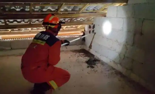 百余只蝙蝠入侵居民家中，贵州务川消防出击制“蝠”