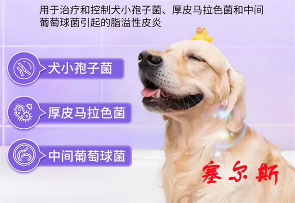 塞尔斯兽药有哪些