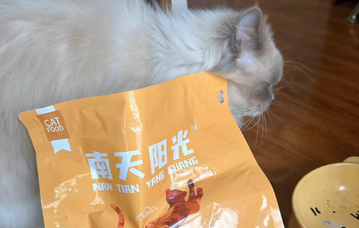 南天阳光猫粮怎么这么贵 南天阳光猫粮怎么这么贵