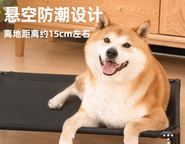 茯见狗狗行军床好不好