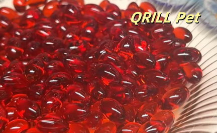 QRILL Pet虾青素油和虾青素一样吗