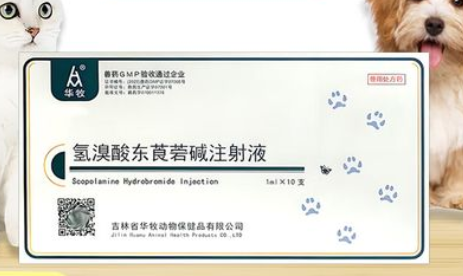 华牧兽药:从实验室到养殖场,以创新驱动行业变革 华牧兽药:从实验室到养殖场,以创新驱动行业变革