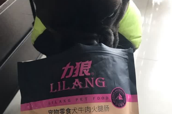 柯基可以吃什么品牌零食?力狼狗火腿肠用肉香唤醒狗狗食欲 柯基可以吃什么品牌零食?力狼狗火腿肠用肉香唤醒狗狗食欲