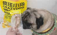 狗的零食品牌有哪些？疯狂小狗以卓越品质收获满满信赖！