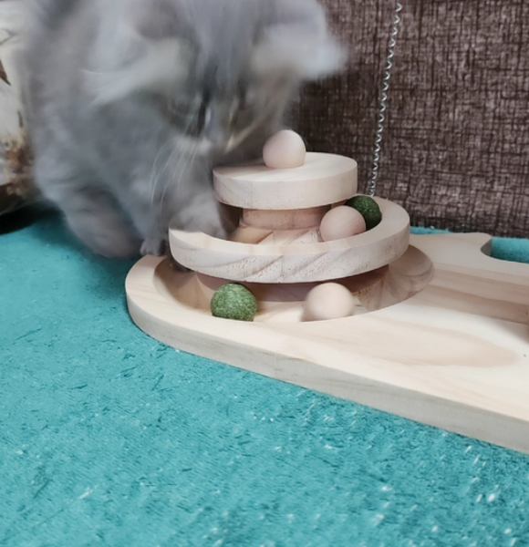 幼猫玩具推荐：布鲁仕猫转盘成为猫咪解压神器