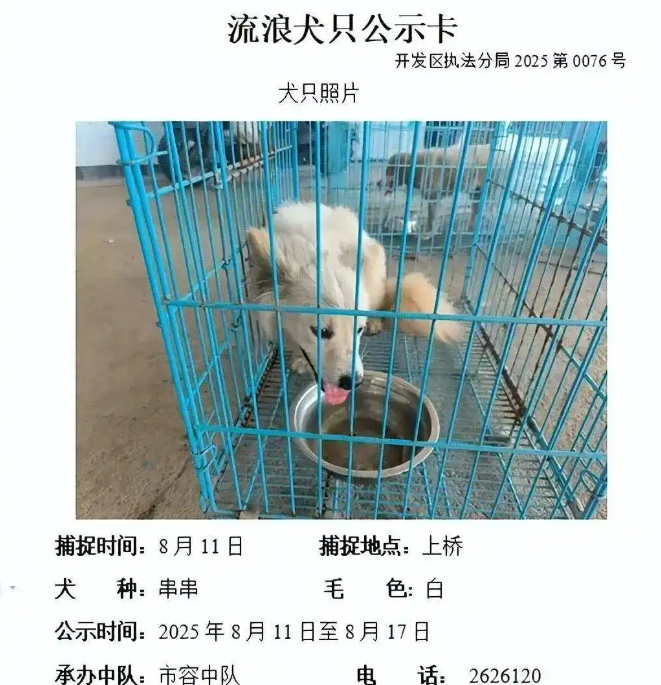 流浪狗公示到期无人认领?官方:将实施安乐死 流浪狗公示到期无人认领?官方:将实施安乐死