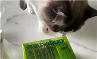小猫可以吃什么零食？耐威克猫条营养又美味，值得一试！