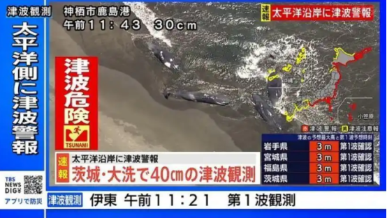 罕见一幕:日本千叶县4头鲸鱼同时搁浅 罕见一幕:日本千叶县4头鲸鱼同时搁浅