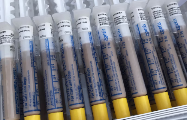 爱宠欣巧克力膏能治疗肺炎吗