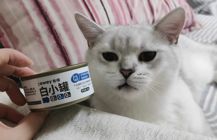 猫主食罐头哪个牌子好？cewey希喂猫罐头，兼顾品质与健康