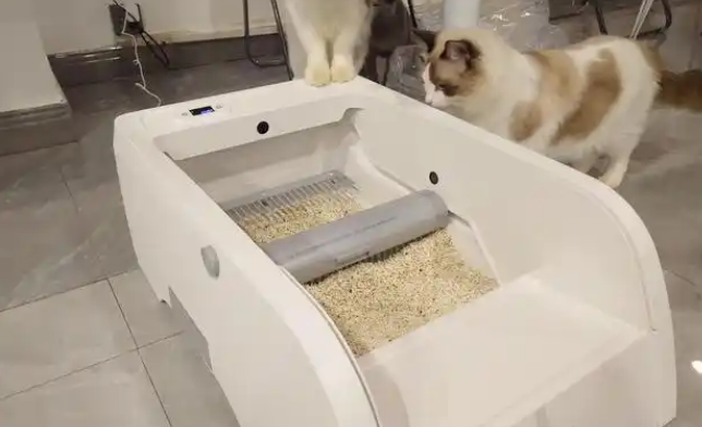 猫会用猫砂但是乱拉屎怎么回事