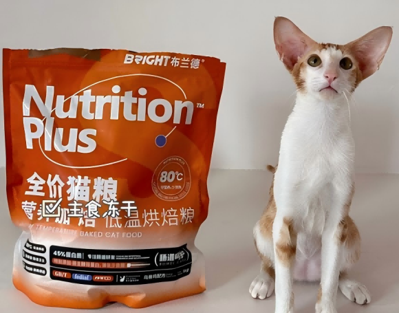 国产的都有哪些猫粮口碑比较好？口碑之选布兰德安心放心