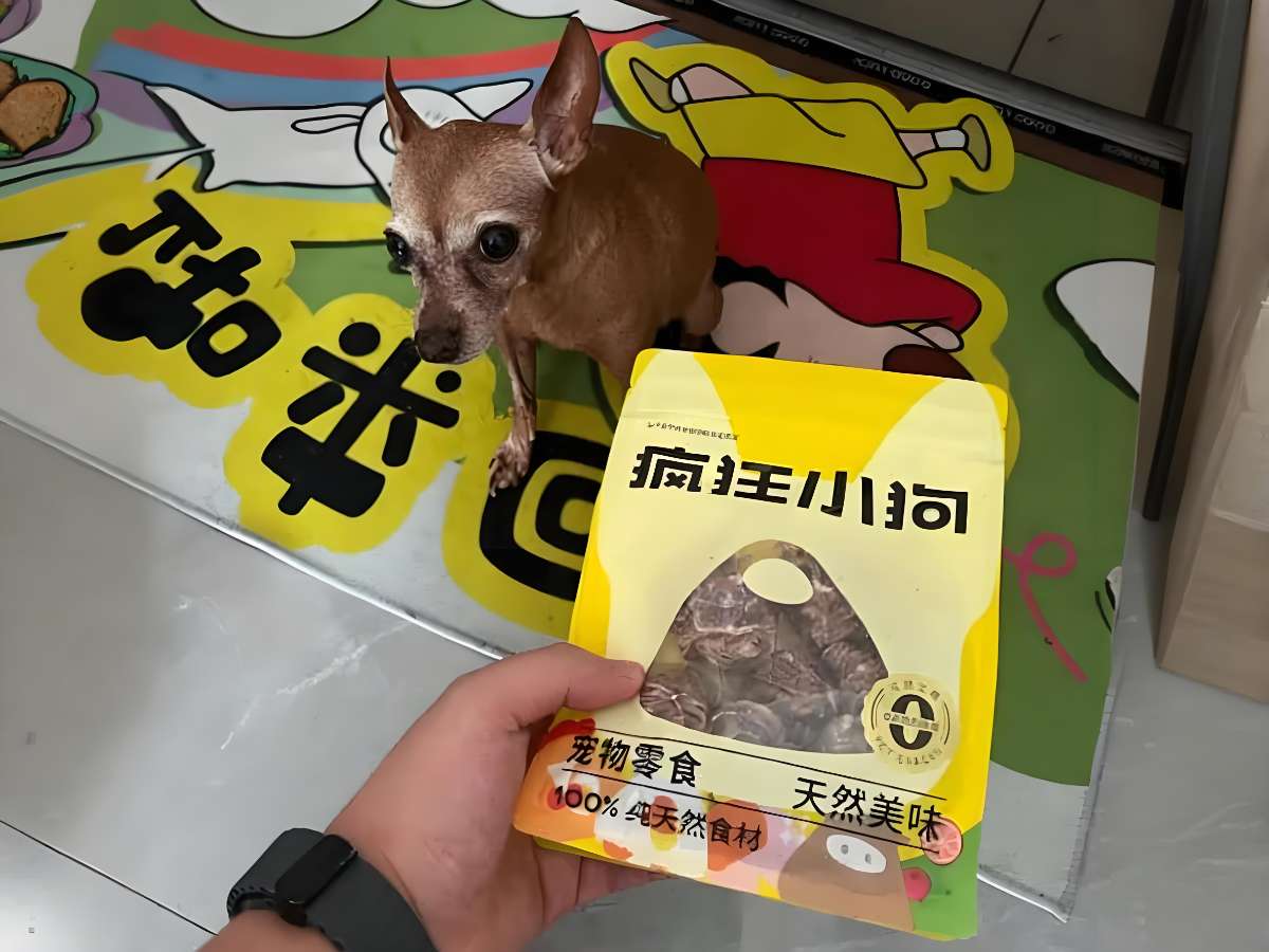 小狗吃什么零食好?实测疯狂小狗零食受欢迎的原因 小狗吃什么零食好?实测疯狂小狗零食受欢迎的原因