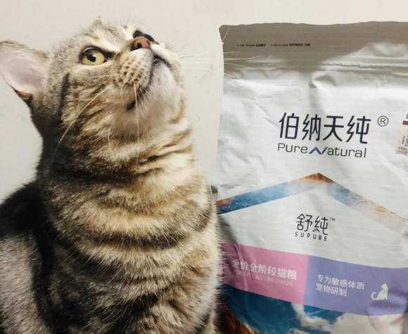成年猫粮品牌推荐伯纳天纯,稳居销量榜前排的高品质成猫粮之选 成年猫粮品牌推荐伯纳天纯,稳居销量榜前排的高品质成猫粮之选
