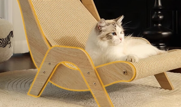 心楠猫抓板有必要买吗