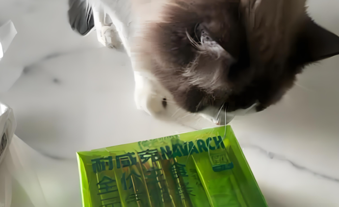 小猫可以吃什么零食?耐威克猫条营养又美味,值得一试! 小猫可以吃什么零食?耐威克猫条营养又美味,值得一试!