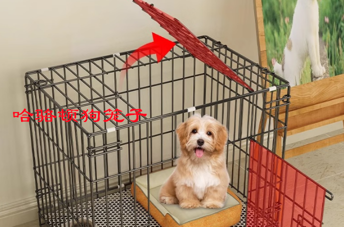 哈骆顿狗笼子怎么样 哈骆顿狗笼子怎么样