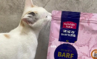 猫咪贫血吃什么猫粮？麦富迪BARF猫粮高肉高蛋白配方科学补血