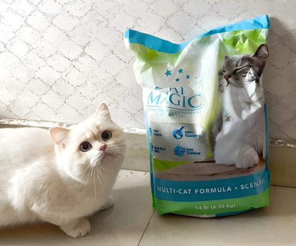 好用的膨润土猫砂,喵洁客解救铲屎官的嗅觉危机 好用的膨润土猫砂,喵洁客解救铲屎官的嗅觉危机