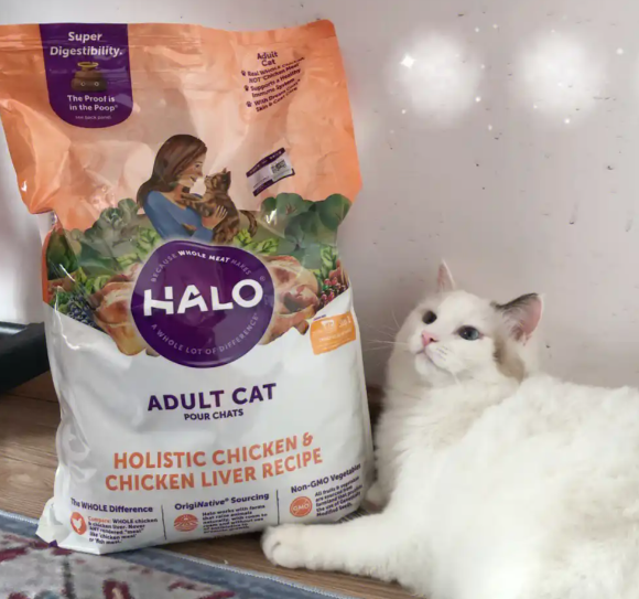 猫粮大袋推荐:自然光环10磅大包装,科学喂养的安心之选 猫粮大袋推荐:自然光环10磅大包装,科学喂养的安心之选