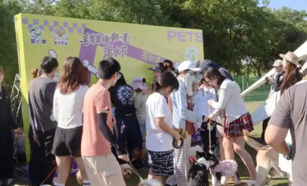 星云里·半城大山露营度假区今夏启幕宠物社交新体验 星云里·半城大山露营度假区今夏启幕宠物社交新体验