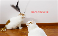 karlie逗猫棒如何使用