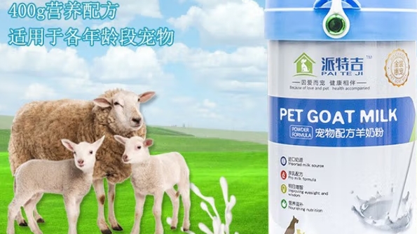 派特吉属于什么档次 派特吉属于什么档次