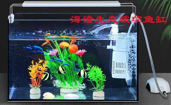 海谙生态玻璃鱼缸：光影与生态共舞的水族舞台