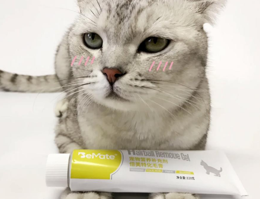 倍美特化毛膏，猫咪主动爱上的护毛好物