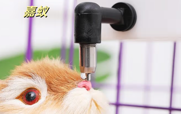 嘉蚁宠物撞针水壶:健康饮水新选择 嘉蚁宠物撞针水壶:健康饮水新选择