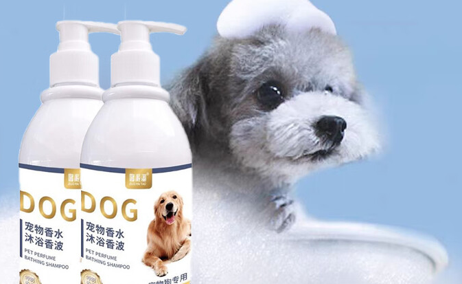 哆派淘沐浴露多少钱 哆派淘沐浴露多少钱