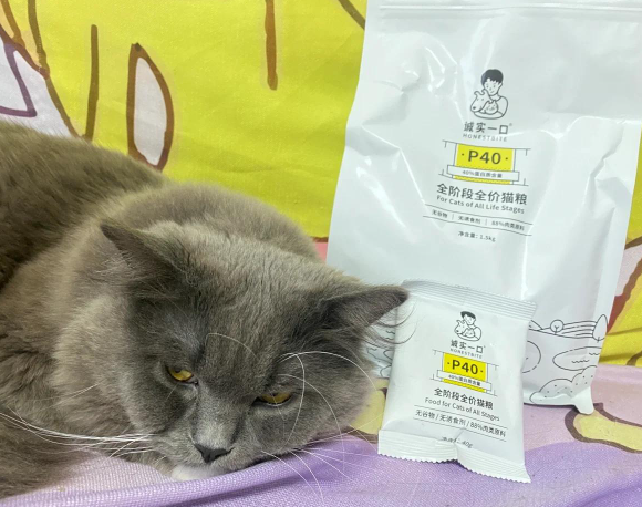 便宜性价比高的猫粮推荐诚实一口P40猫粮，高蛋白低敏，肠胃敏感猫的福音！