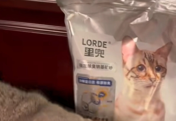 猫砂哪一种最好?里兜小银钻用除臭黑科技终结选择困难 猫砂哪一种最好?里兜小银钻用除臭黑科技终结选择困难